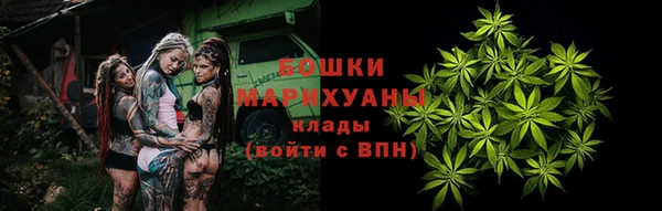PSILOCYBIN Медногорск