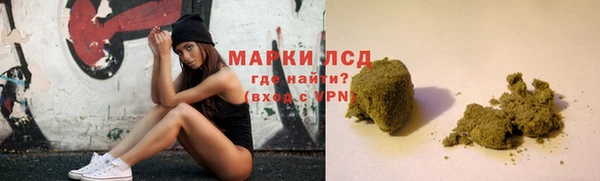 прущие грибы Магадан
