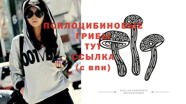 амфетамин Медвежьегорск