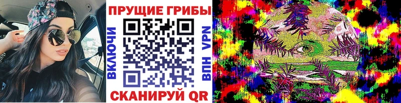Галлюциногенные грибы GOLDEN TEACHER  купить наркотики сайты  Балтийск 