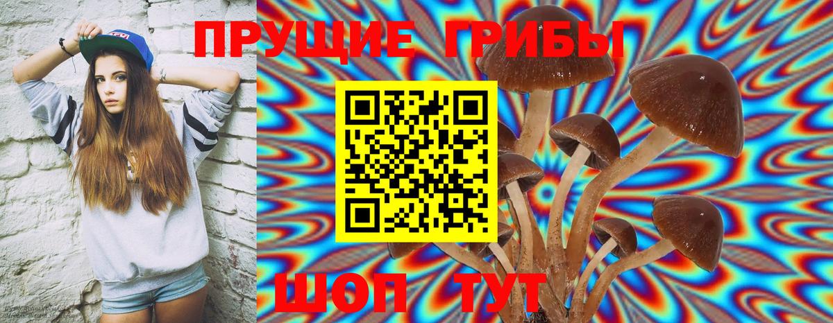 Псилоцибиновые грибы Psilocybine cubensis  Вход с VPN  Балтийск 