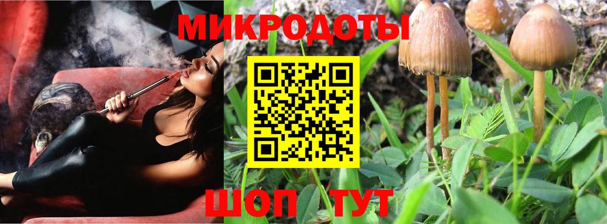 Псилоцибиновые грибы ЛСД Балтийск