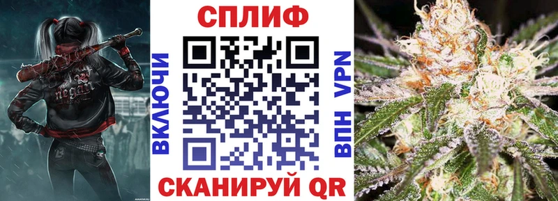Шишки марихуана сатива  Балтийск 